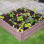 4ft x 4ft Raised Bed Complete With Free Irrigation Kit