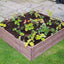 4ft x 8ft Raised Bed Complete With Free Irrigation Kit
