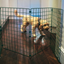 Room/Hallway Dog Fence Divider (50mm Mesh)