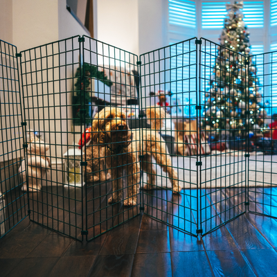 Indoor Dog Gate & Room Divider – 50mm Mesh – 60cm to 1.2m High