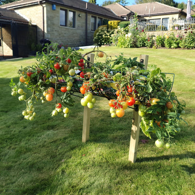 Elevated Raised Bed Growing Platform
