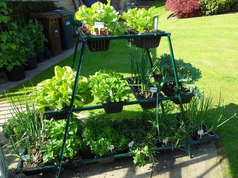 Growing Frames & Cloches