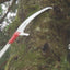 Barnel 19ft Professional Pole Saw