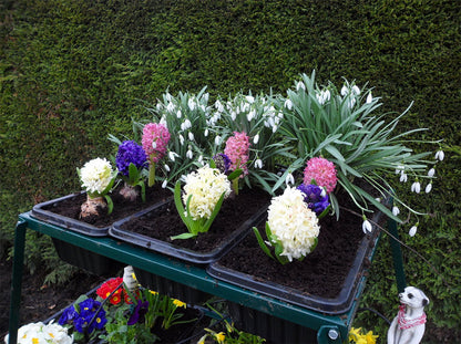 Patiogro Including Free Irrigation Kit