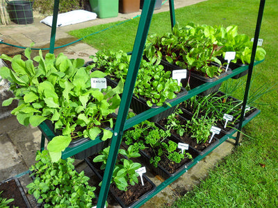 Patiogro Including Free Irrigation Kit
