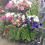 Patiogro Including Free Irrigation Kit