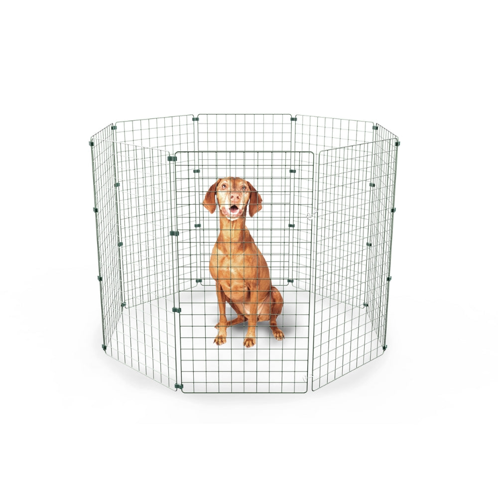 Dog/Puppy Pen's (50mm Mesh)