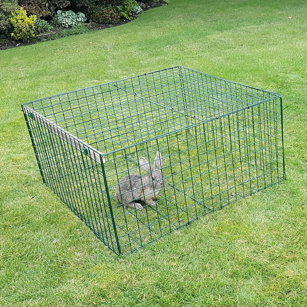 Heavy Duty Rabbit Run - Small Pet Playpen – Conka